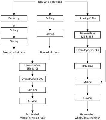 Impact of dehulling, germination and fermentation on the bioactive and functional properties of grey pea flour